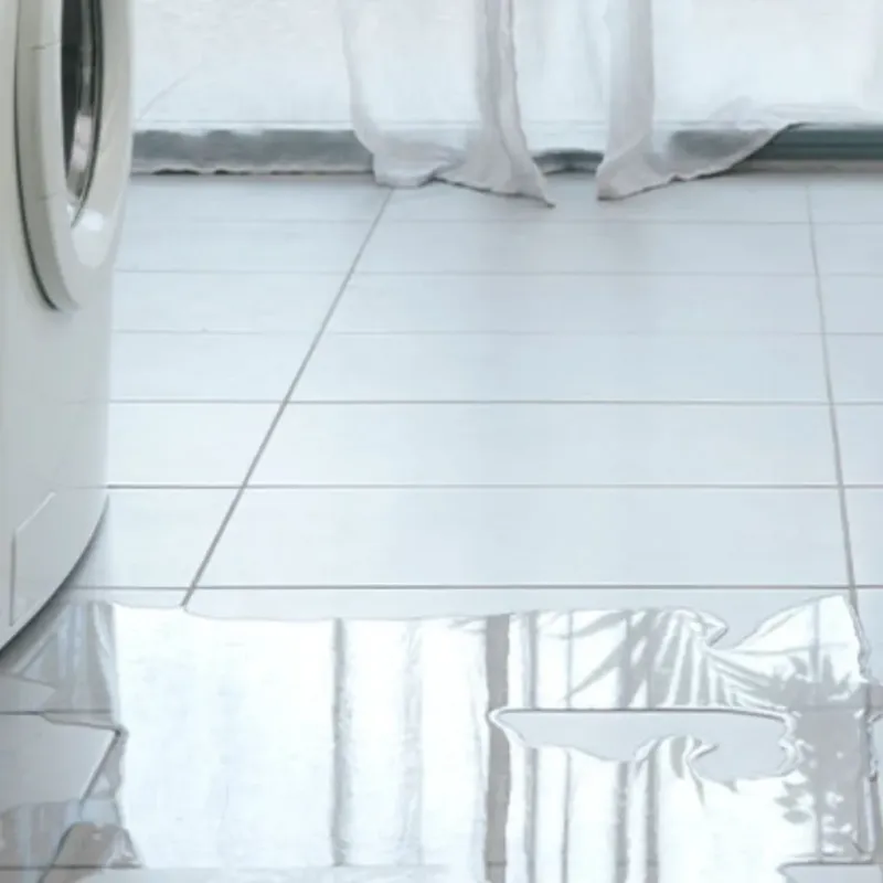 Appliance Leak Cleanup in Butler County, KY