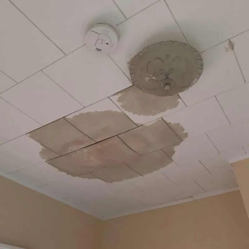 Ceiling Water Damage Repair in Butler County, KY