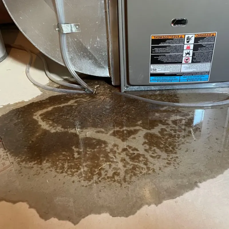 Pipe Burst and Leak Restoration in Butler County, KY