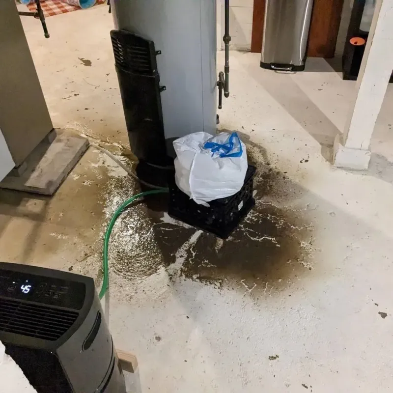 Sewage Backup Cleanup Service in Butler County, KY